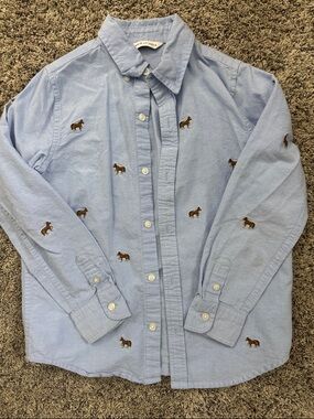 Boy’s  Light Blue Embroidered Horse Button-Down Shirt